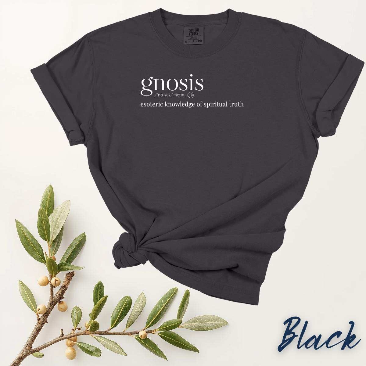 GNOSIS T-Shirt - Esoteric Knowledge of Spiritual Truth - Gnostic Tee - Image 2