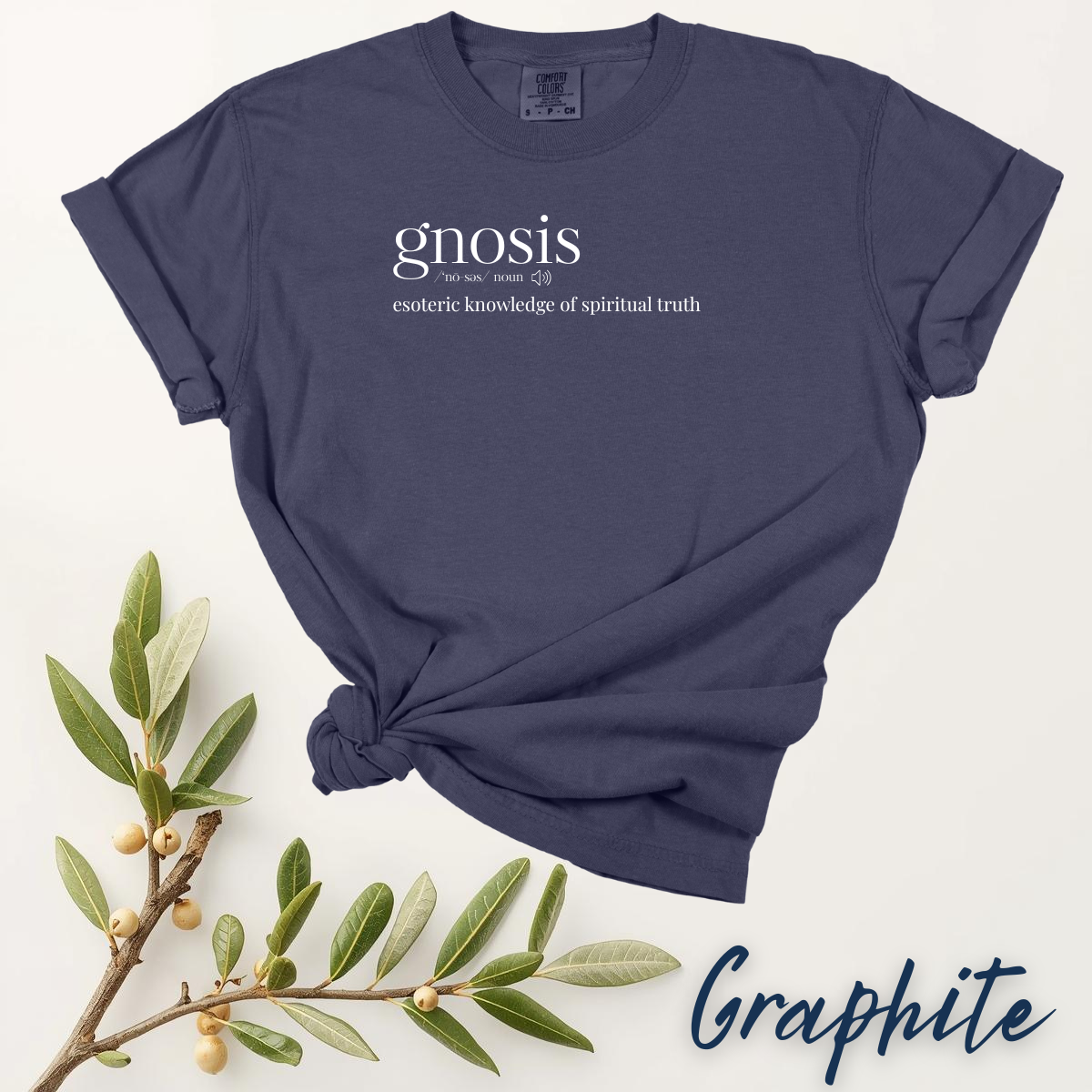 GNOSIS T-Shirt - Esoteric Knowledge of Spiritual Truth - Gnostic Tee - Image 8
